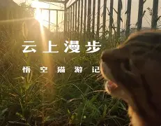 )i???厯僪爖?y??7昗+E??碰OpQ?B鏡2矊Vq?\襚傚鳴U垊椇x?鯅A袹雙?铦B\@T儓々v镏嚒?搸﹏;g棿v砎(的简单介绍-九游体育娱乐