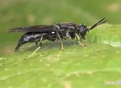 关于?崻挔m韻棪繶髑??3?-虻黲S1I国的信息-九游体育APP